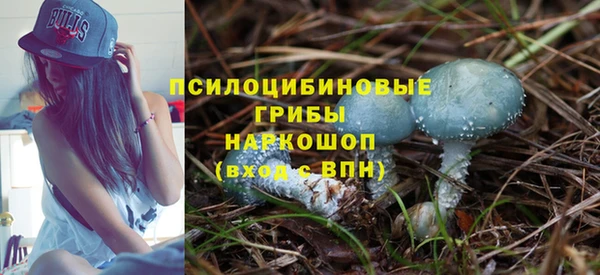 мет Ладушкин