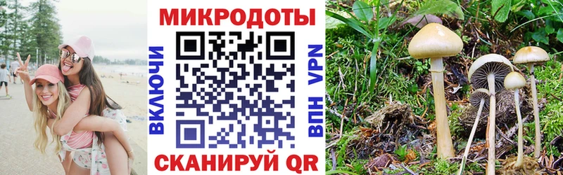 Псилоцибиновые грибы GOLDEN TEACHER  Мурино 